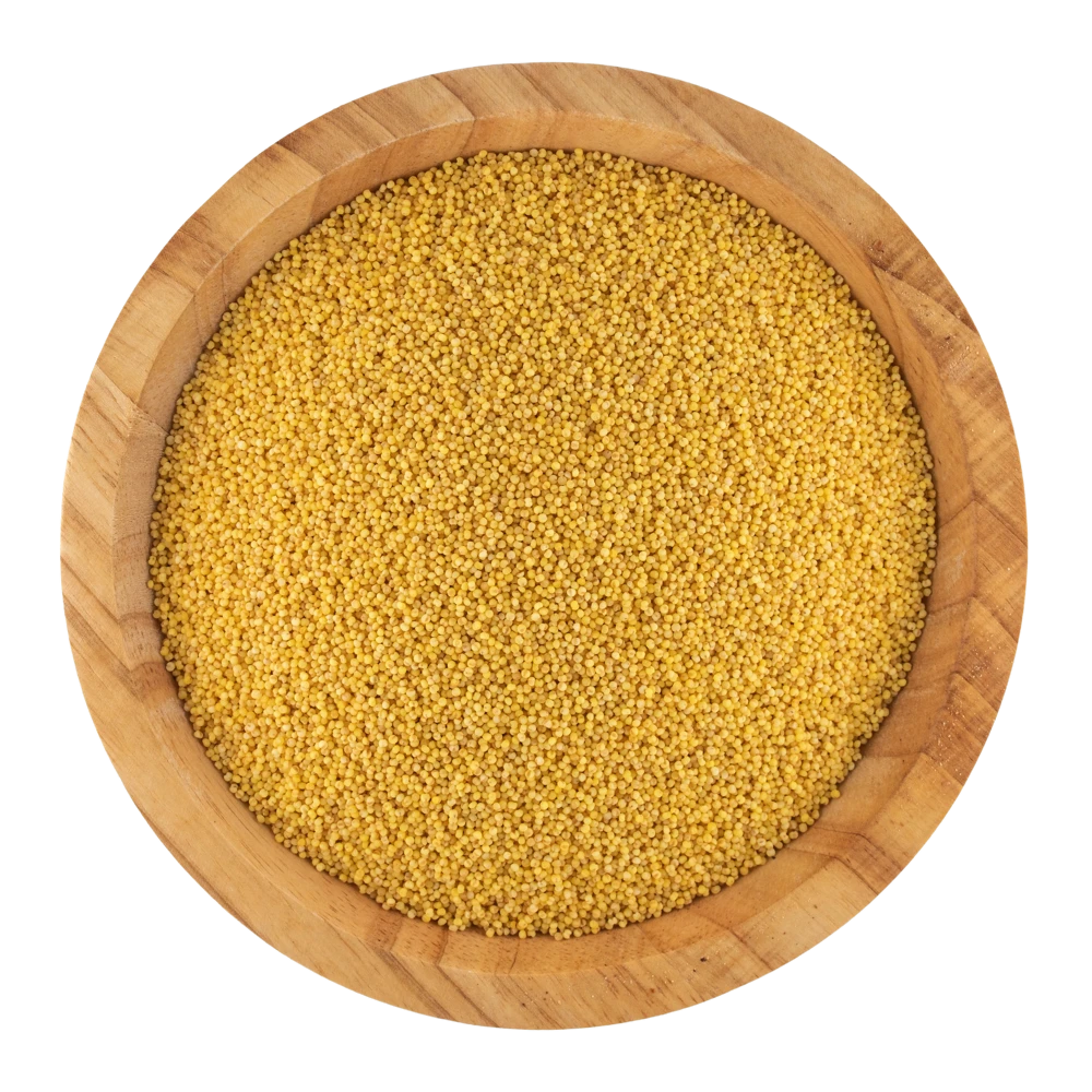 erasebg-transformed 1