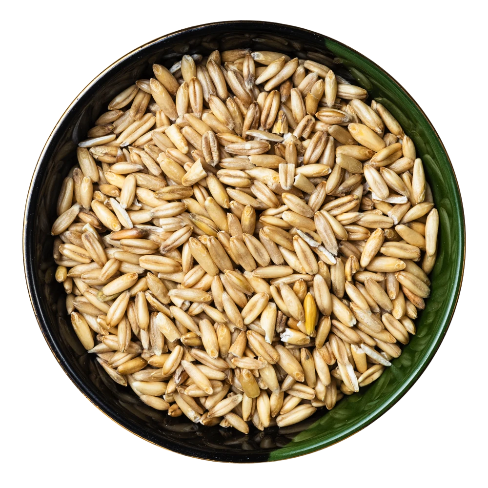 erasebg-transformed 2